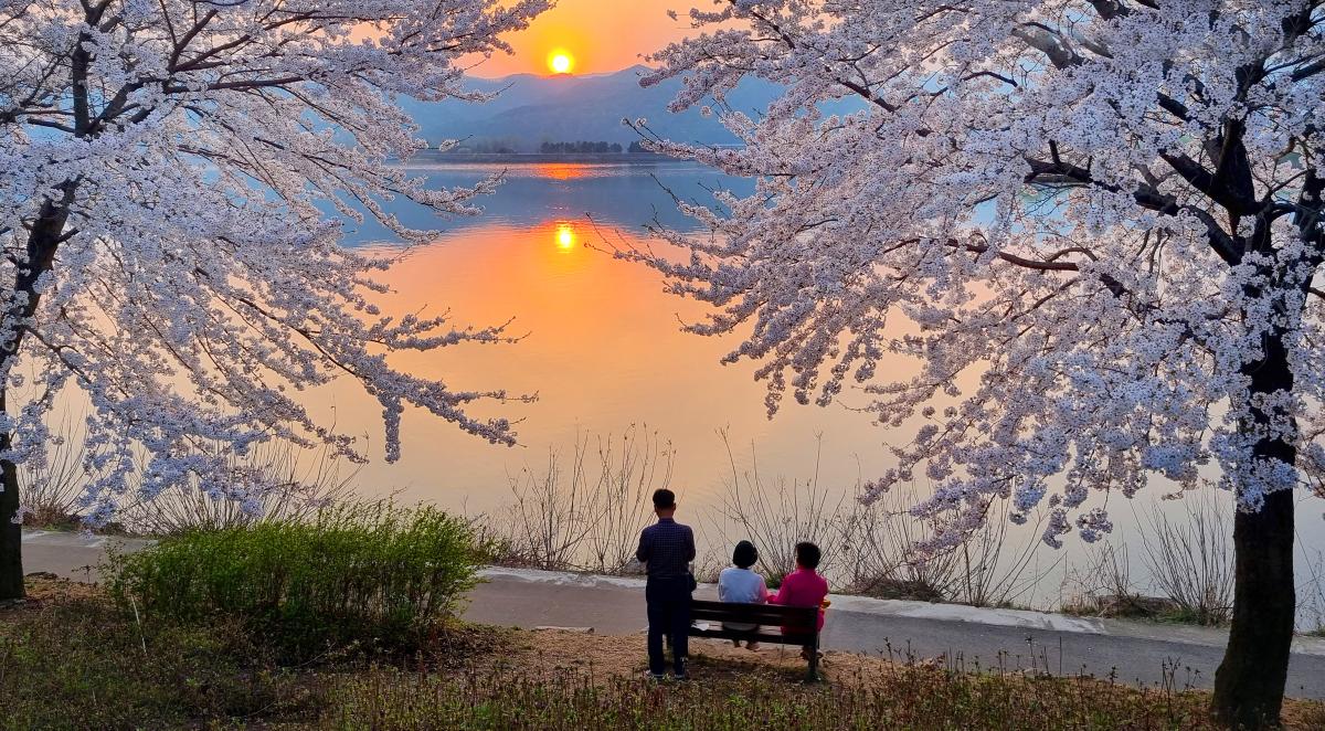 입선-아름다운봄날-박창현